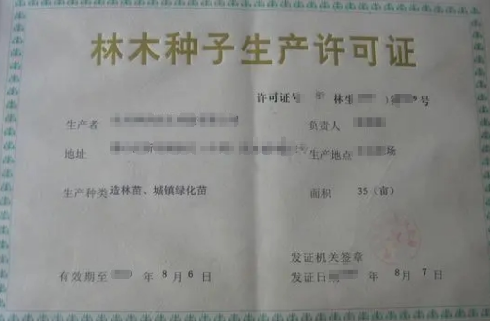 林木種子