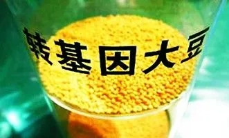 轉(zhuǎn)基因.webp.jpg