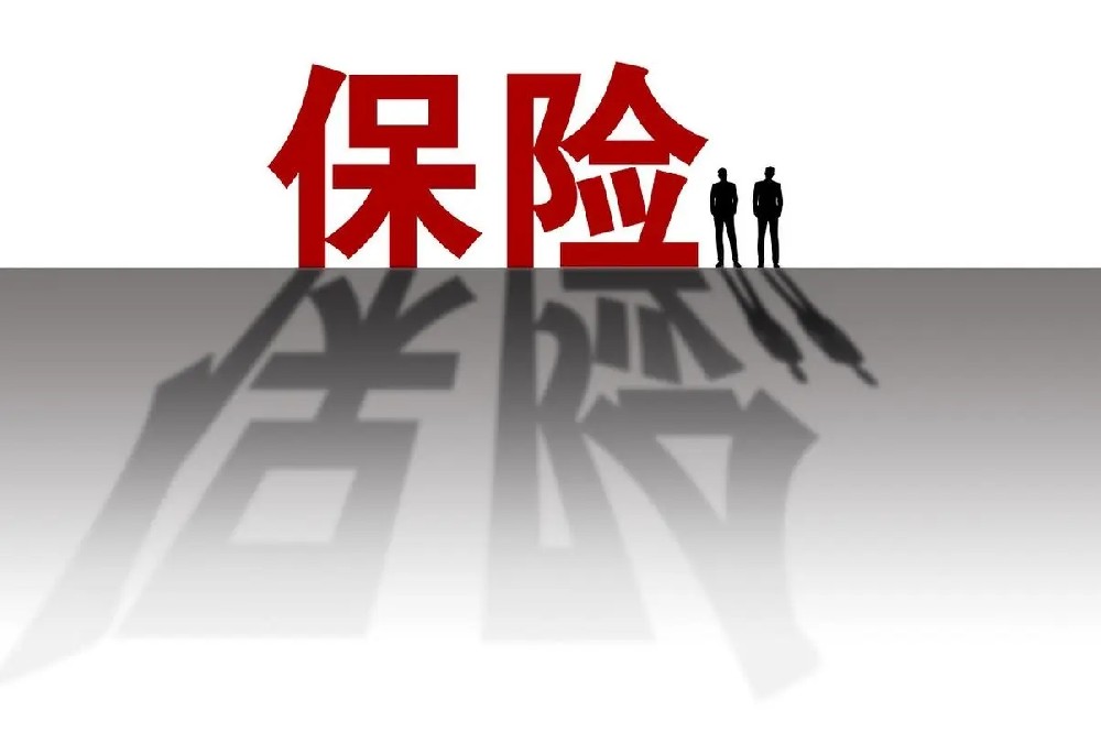 保險(xiǎn)公司.webp.jpg