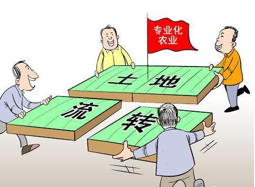 海南集體所有土地與他人聯(lián)合舉辦企業(yè)用于農(nóng)業(yè)開(kāi)發(fā)許可代辦