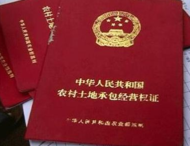 海南三亞承包經(jīng)營權(quán)與地上森林、林木所有權(quán)變更代辦