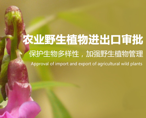 農業(yè)野生植物進出口審批-海南/?？?三亞代辦理經營許可證-易企算財稅公司