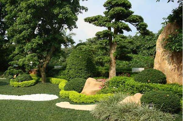 工程建設(shè)涉及城市綠地、樹木審批砍伐樹木申請(qǐng)-?？?三亞代辦機(jī)構(gòu)-易企算財(cái)稅公司